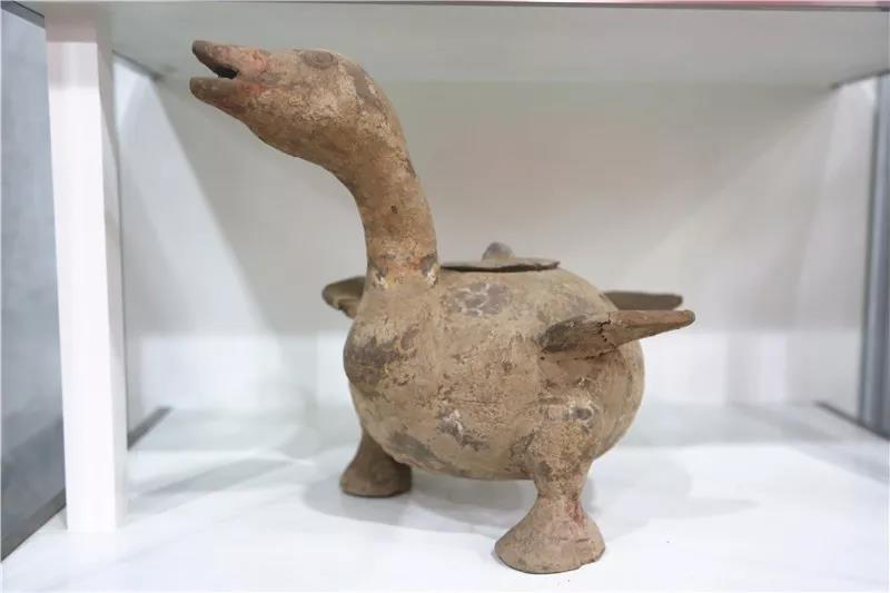 1520389263604935.jpg 03.jpg