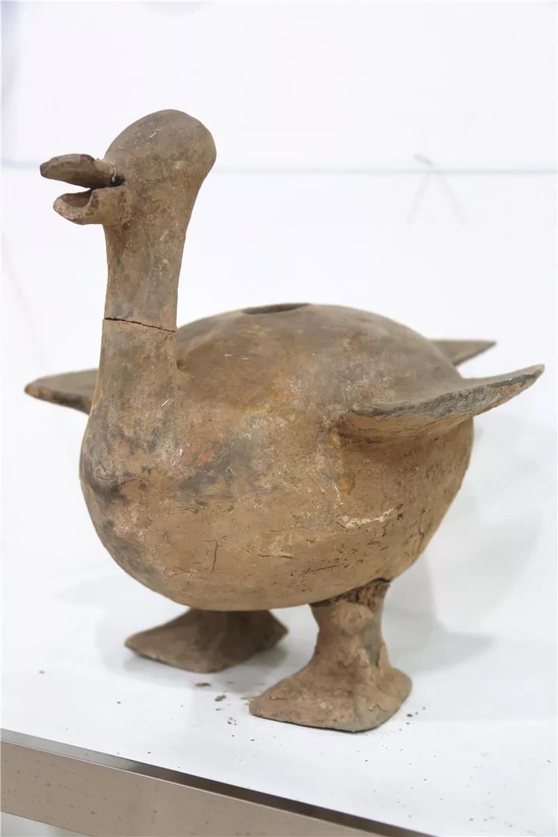 1520389308388454.jpg 07.jpg