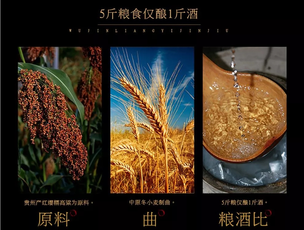 1624324498546251.jpg 3.webp.jpg